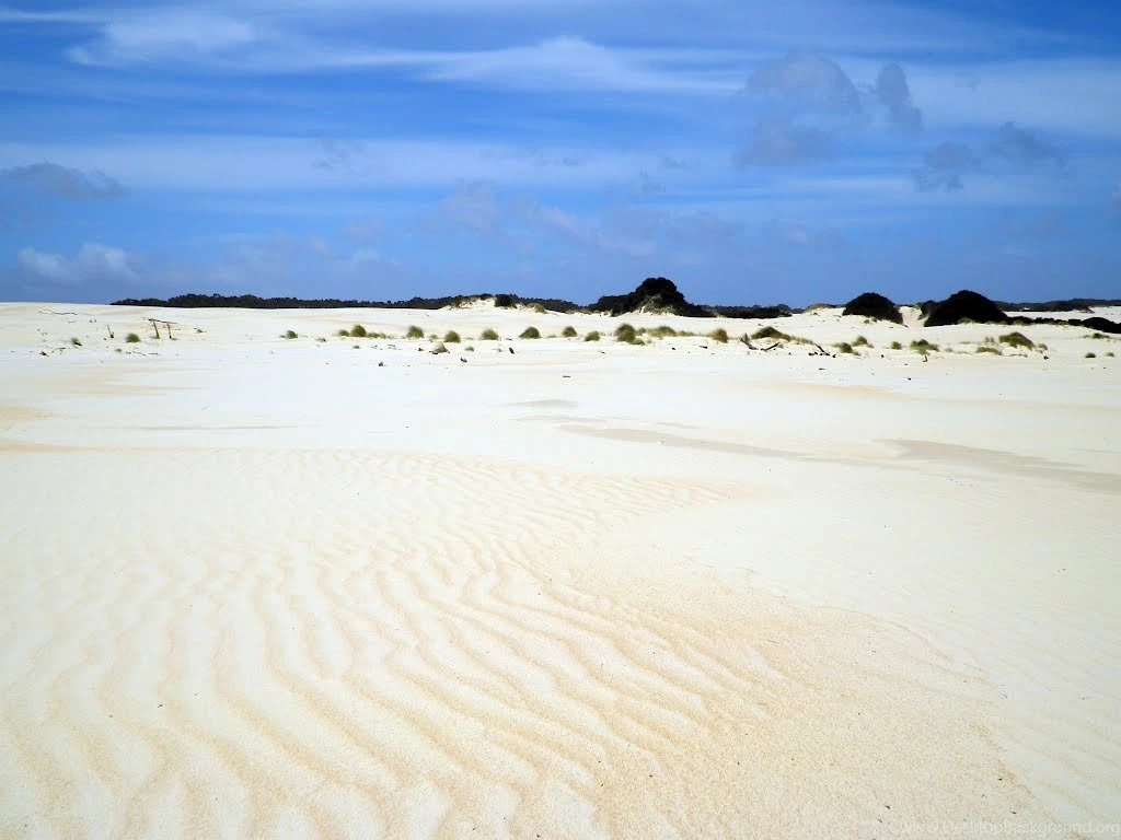 Panoramio   Photo Of Henti Dunes