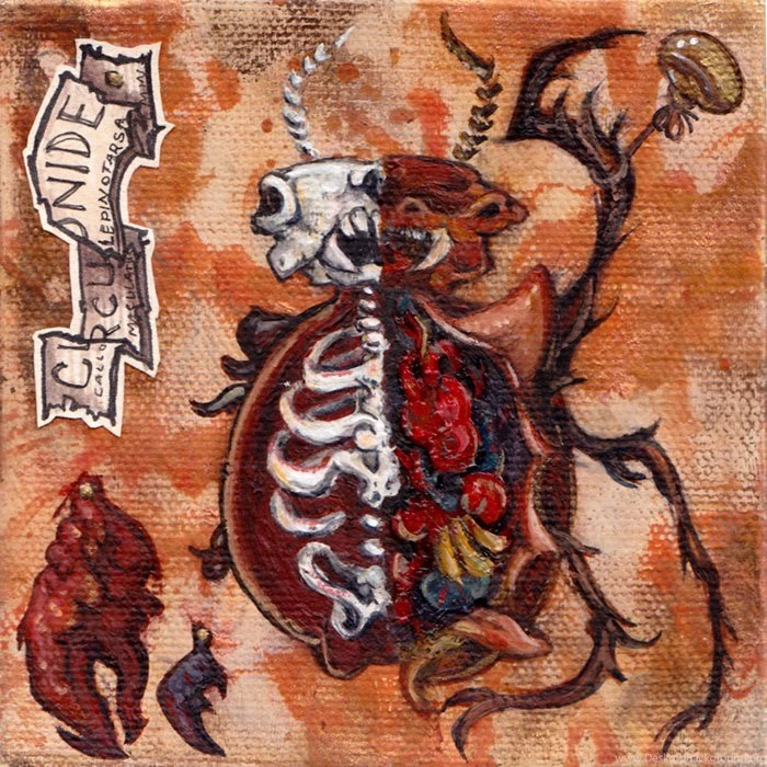 Personal Paintings By J. Fuchs At Coroflot.com