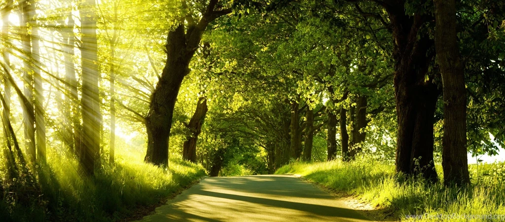 Green Nature Dual Monitor Wallpaper: Desktop HD Wallpapers ...