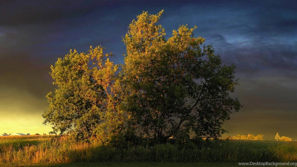 Dual Monitor Wallpapers Free HD Wallpaper Backgrounds Download