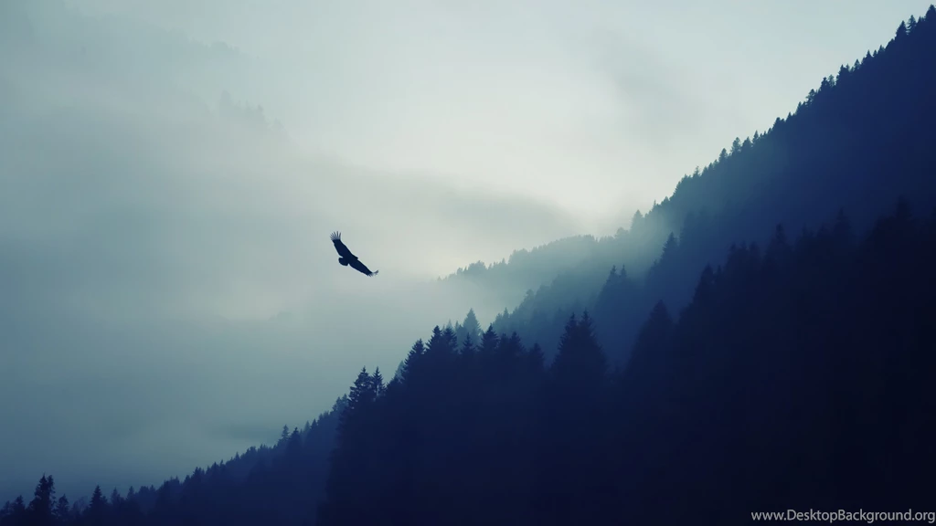 High Definition Eagle Wallpapers For Free Download