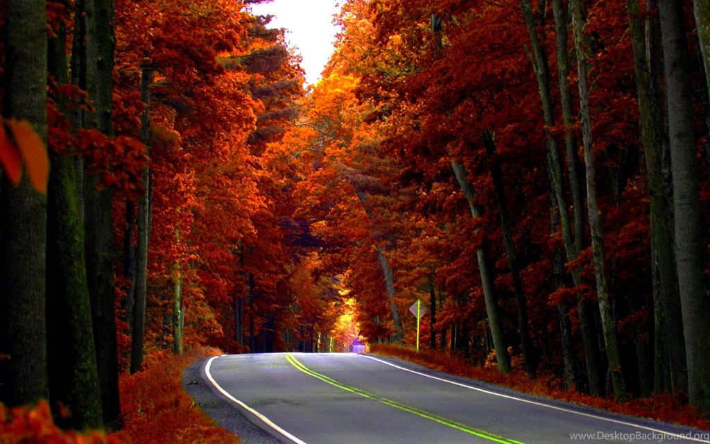 Autumn Road Wallpapers