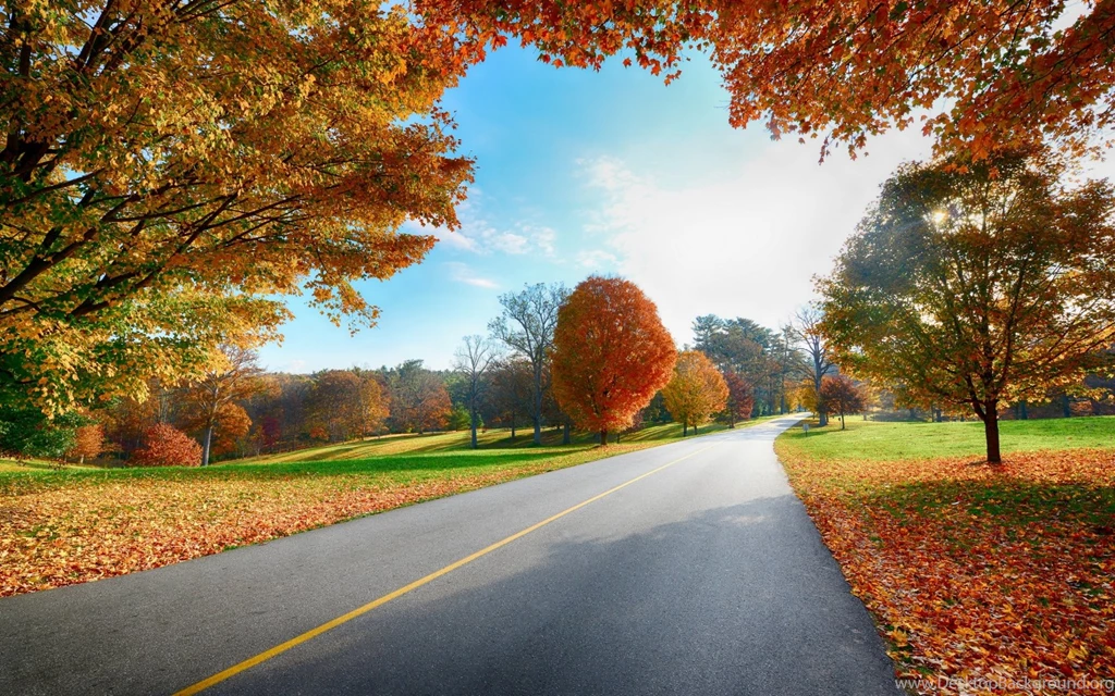 Autumn Road Wallpapers