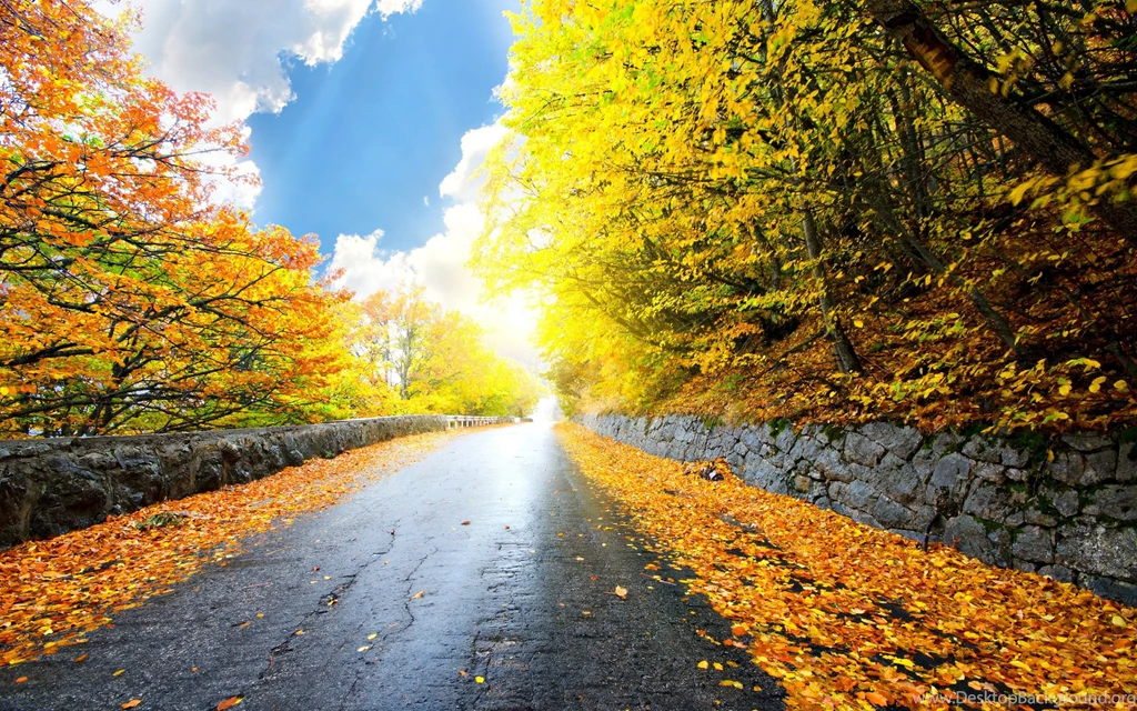 Autumn Road Wallpapers
