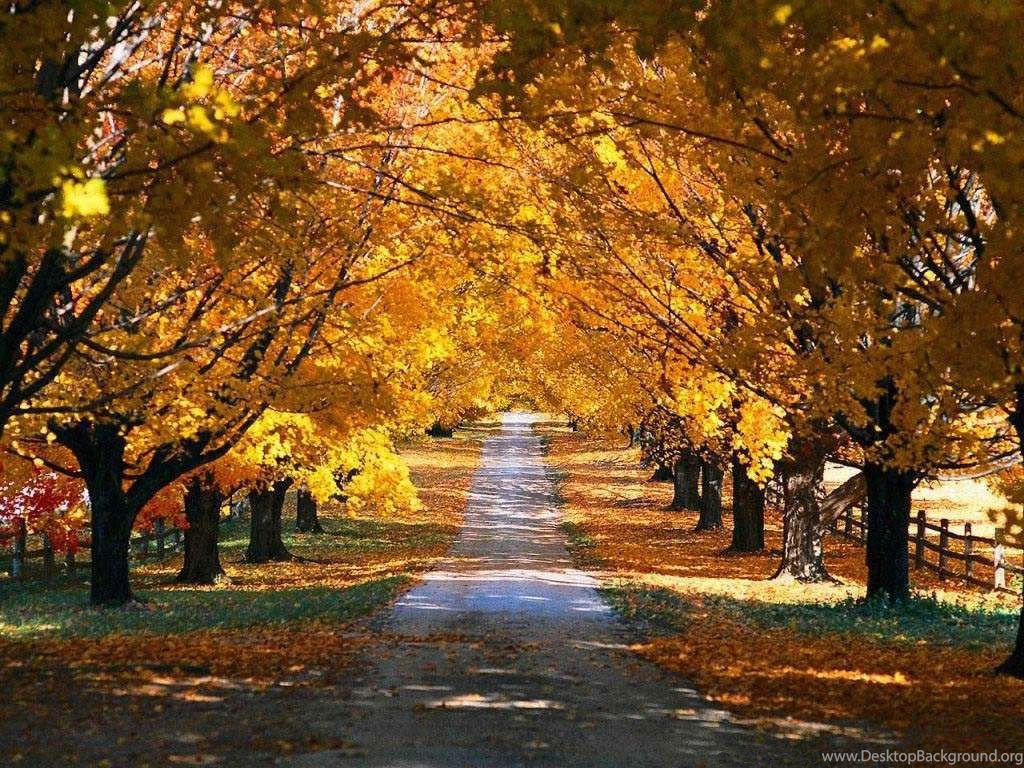 Thousands Of Images About Fall On Pinterest