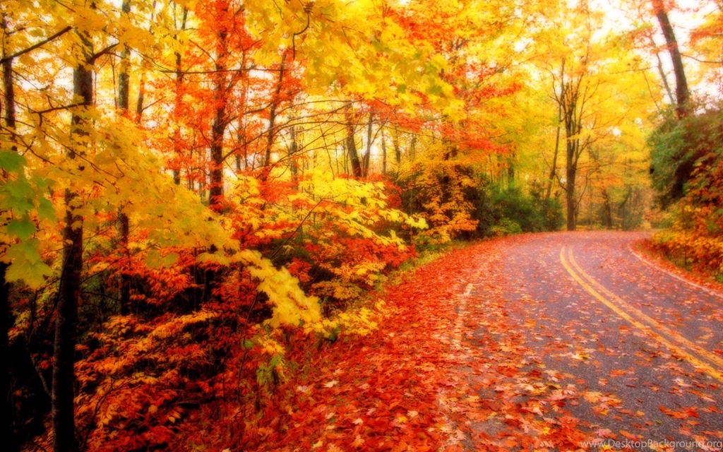 High Quality Autumn Road Wallpapers
