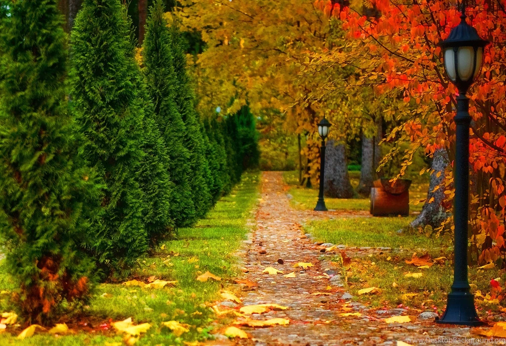 Autumn Road Wallpapers Desktop Backgrounds Uncalke.com