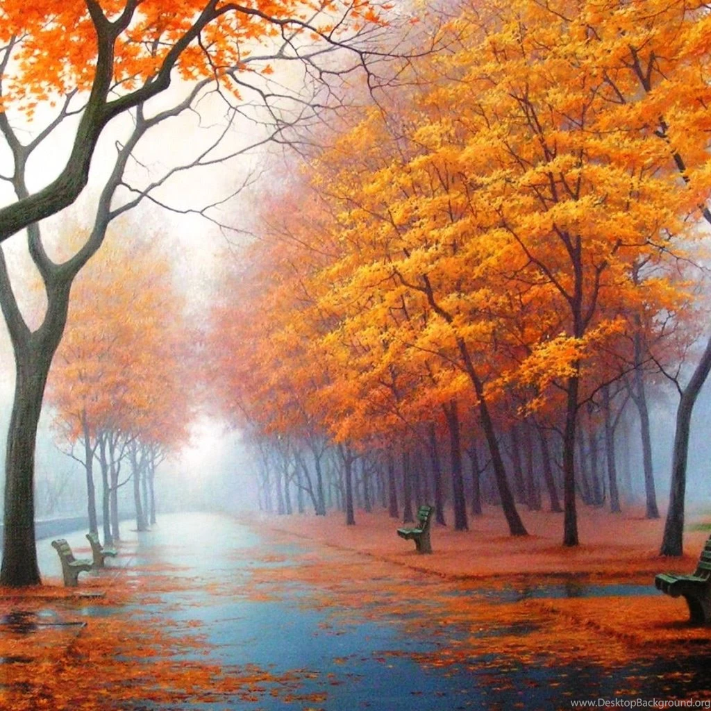 Autumn Road iPad Wallpapers Download