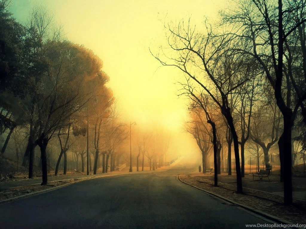 Autumn Road Backgrounds