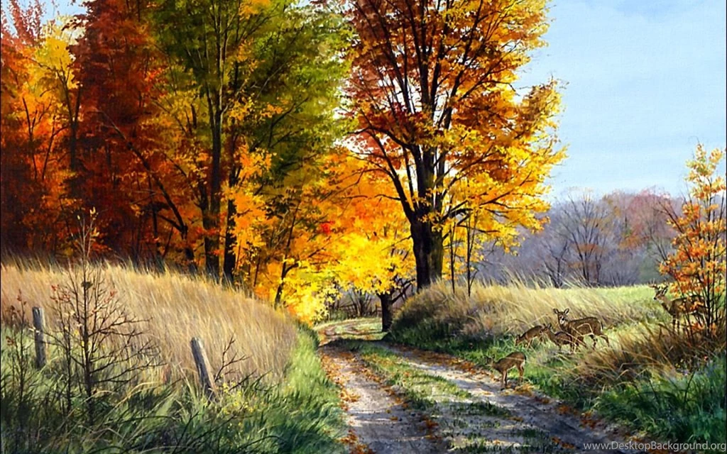 Road, Wallpaper, Background, Nature, Other, Autumn (