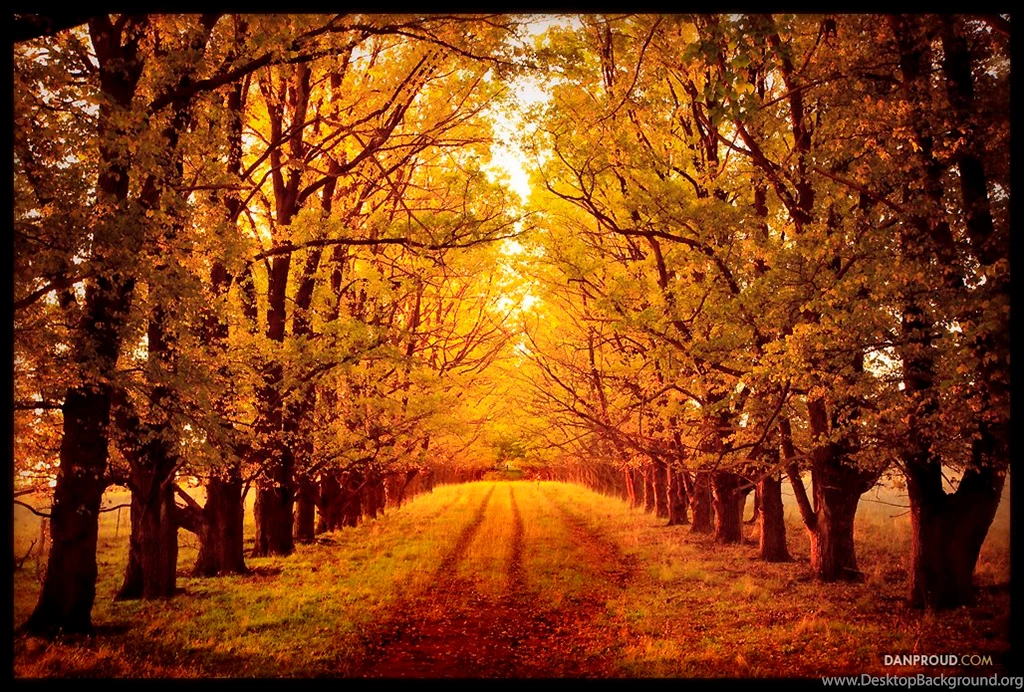 Autumn Road By Dannyp5000 On DeviantArt