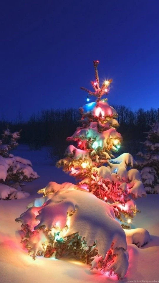 Download Christmas Night Moon HD Wallpapers For Moto E ...