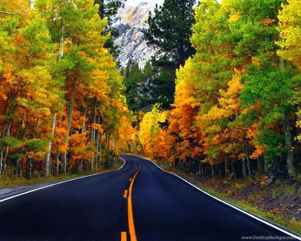 Autumn Road Wallpapers (