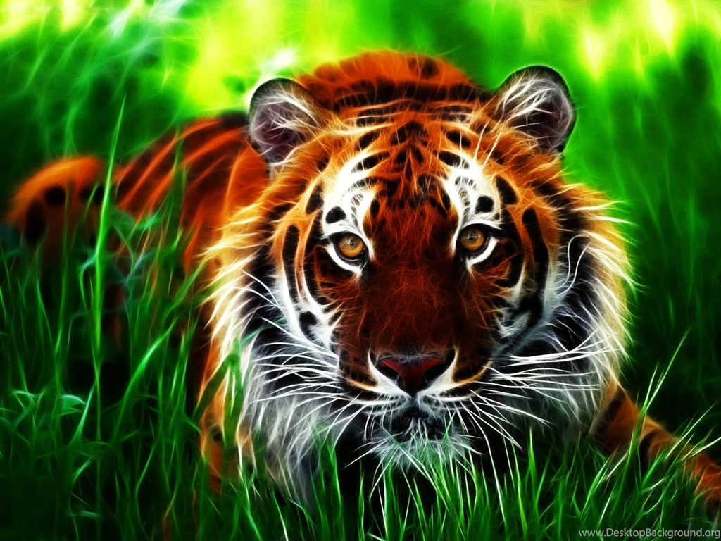 Wallpapers: Tiger 3D Wallpapers