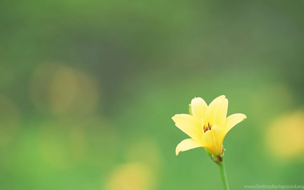 Computer Desktop Backgrounds Photography_ HD Widescreen Wallpapers