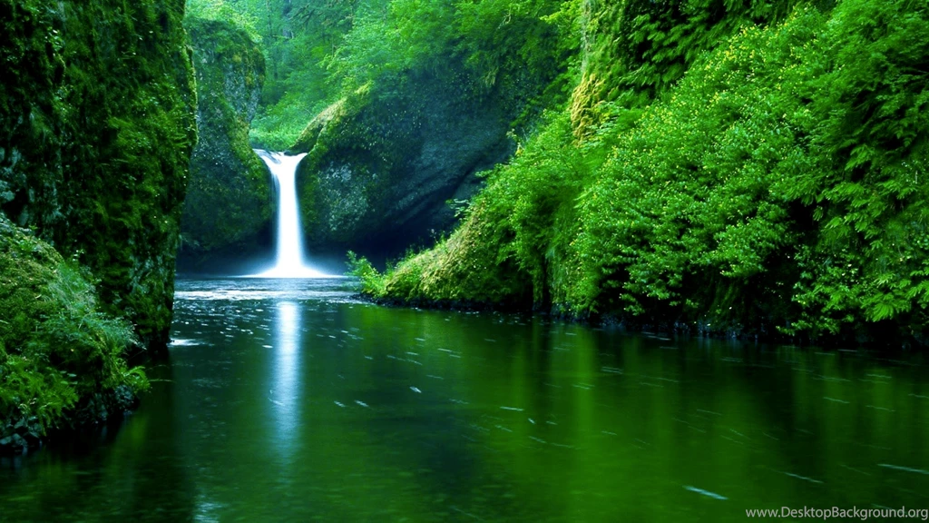 Green Wallpapers Hd Collection (33+)