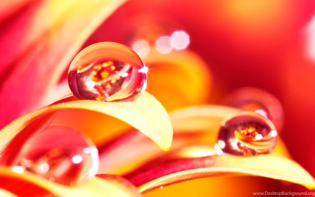 Water Drop Computer Wallpapers, Desktop Backgrounds