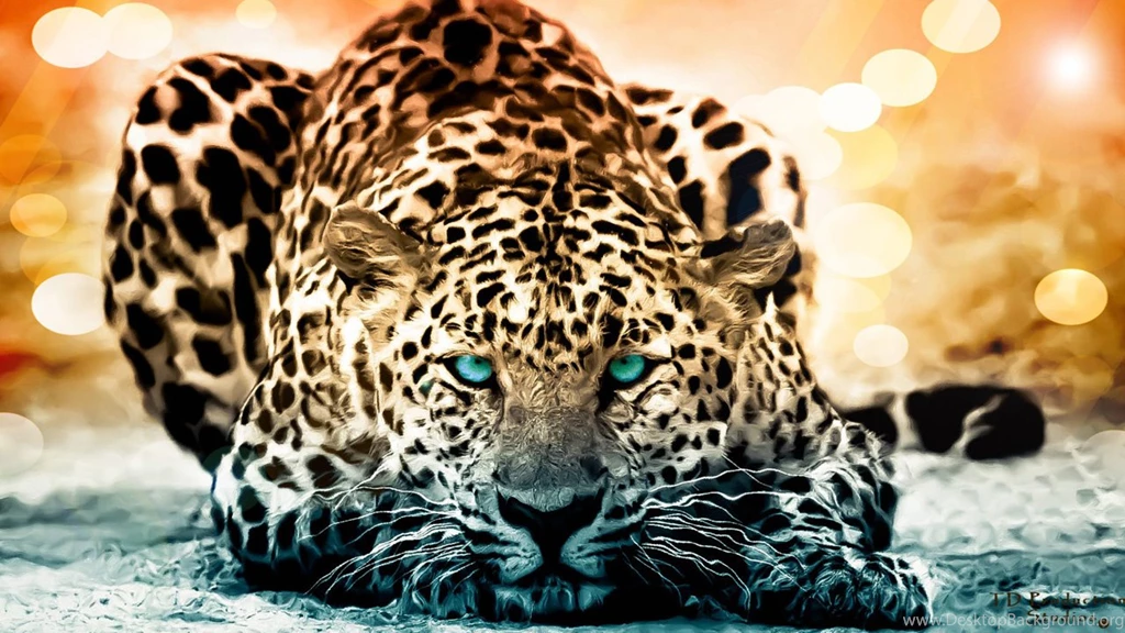 Wild Animal Wallpapers HD 01, HD Desktop Wallpapers