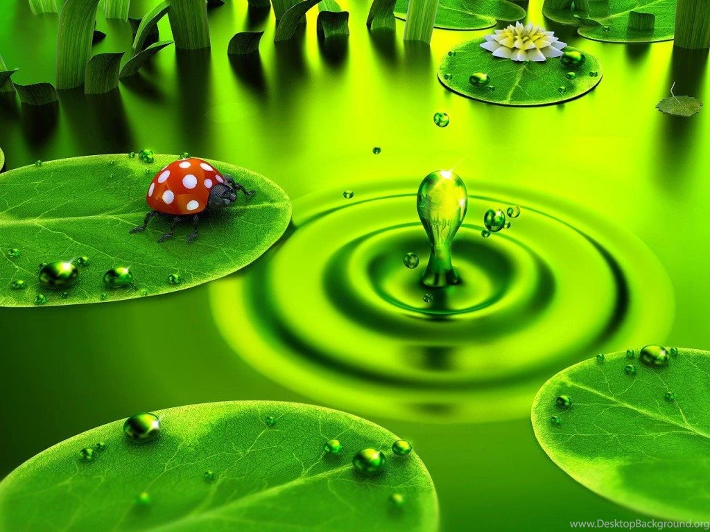 Wallpapers Downloads 8 Best Wallpapers Collection