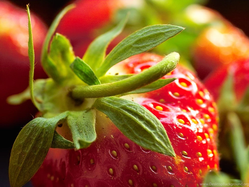 Desktop Wallpapers · Gallery · Nature · Strawberry