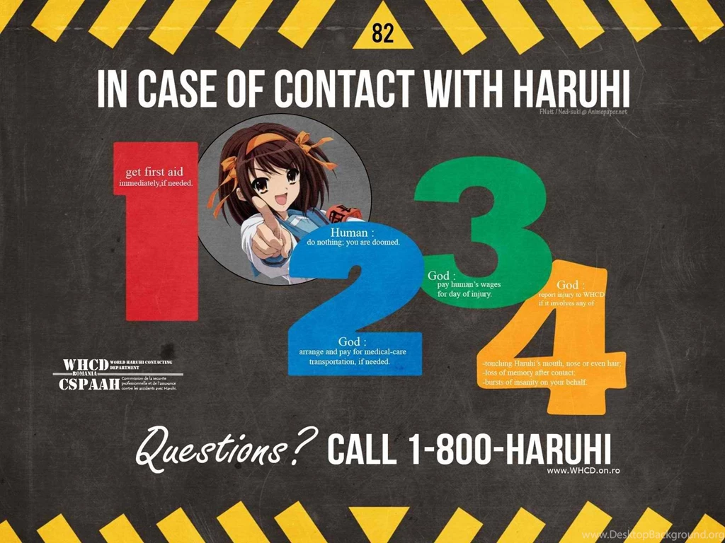 The Melancholy Of Haruhi Suzumiya Wallpapers [17]   (