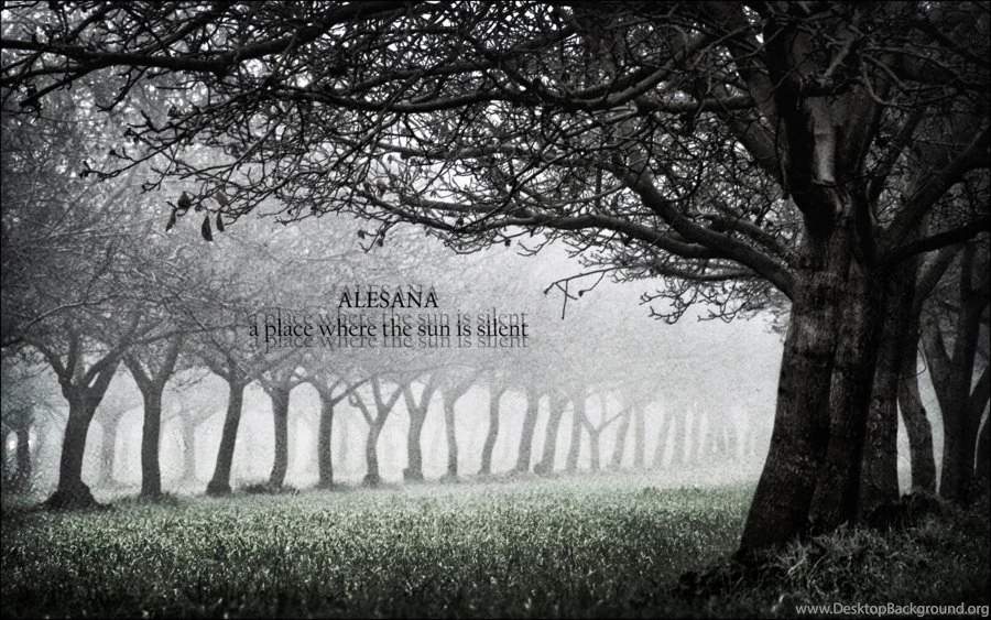 Silent in loss. Alesana a place where the Sun is Silent. Alesana on frail. Людочка Bloom Alesana. Noctura - Surrender the Sun (2011)