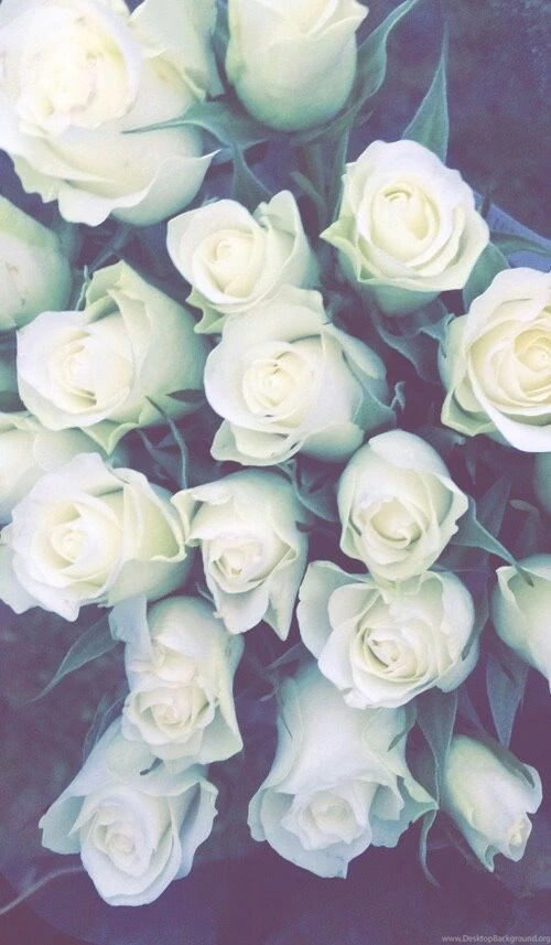 Beautiful, Heart, Hipster, Iphone, Photography, Pics, Roses ...