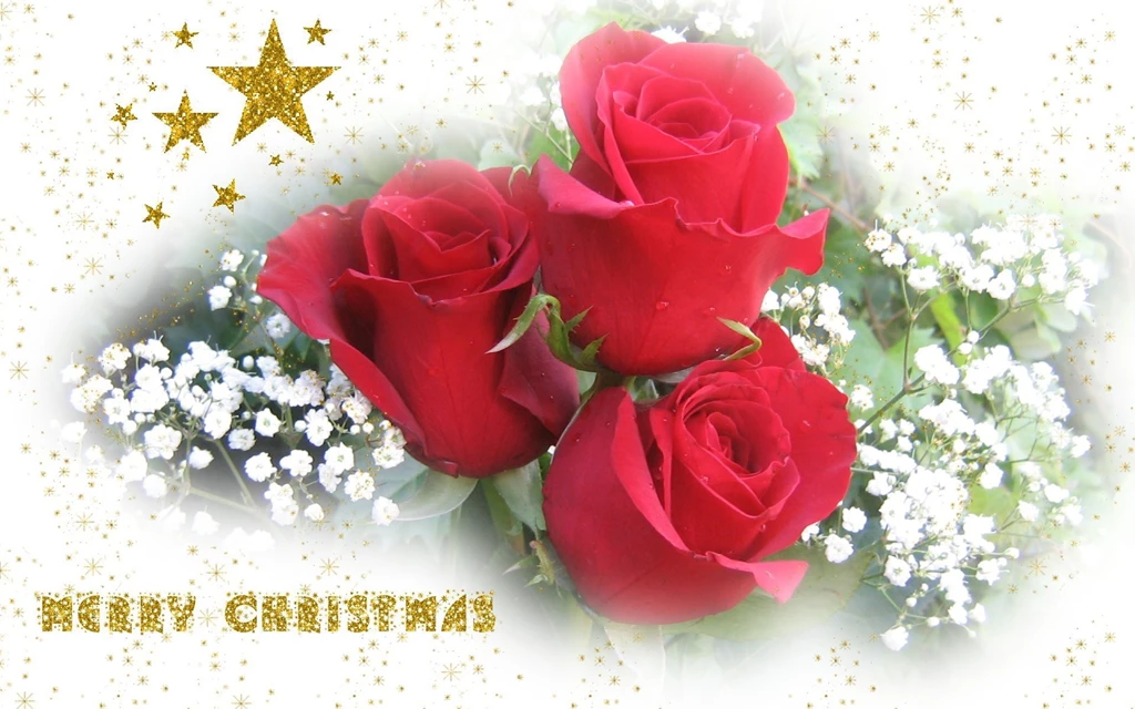 Widescreen, Background, Wallpapers, Merry, Christmas, Bouquet ...