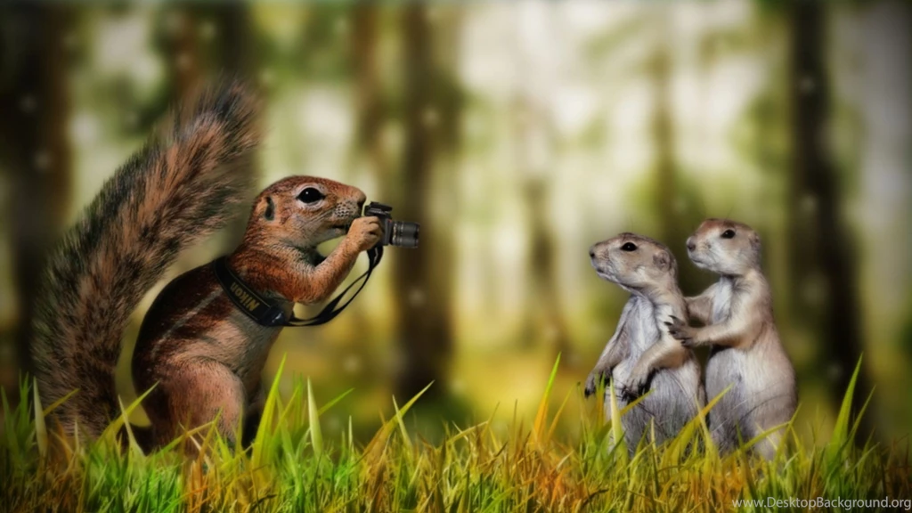 Free Download Funny Wallpapers (7)