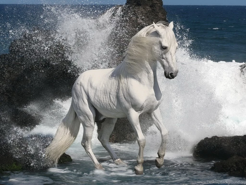 Live wallpaper free download for desktop 3 26683 HD Wallpapers ...