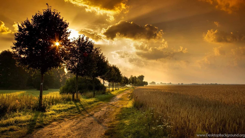 Great Landscape Wallpapers