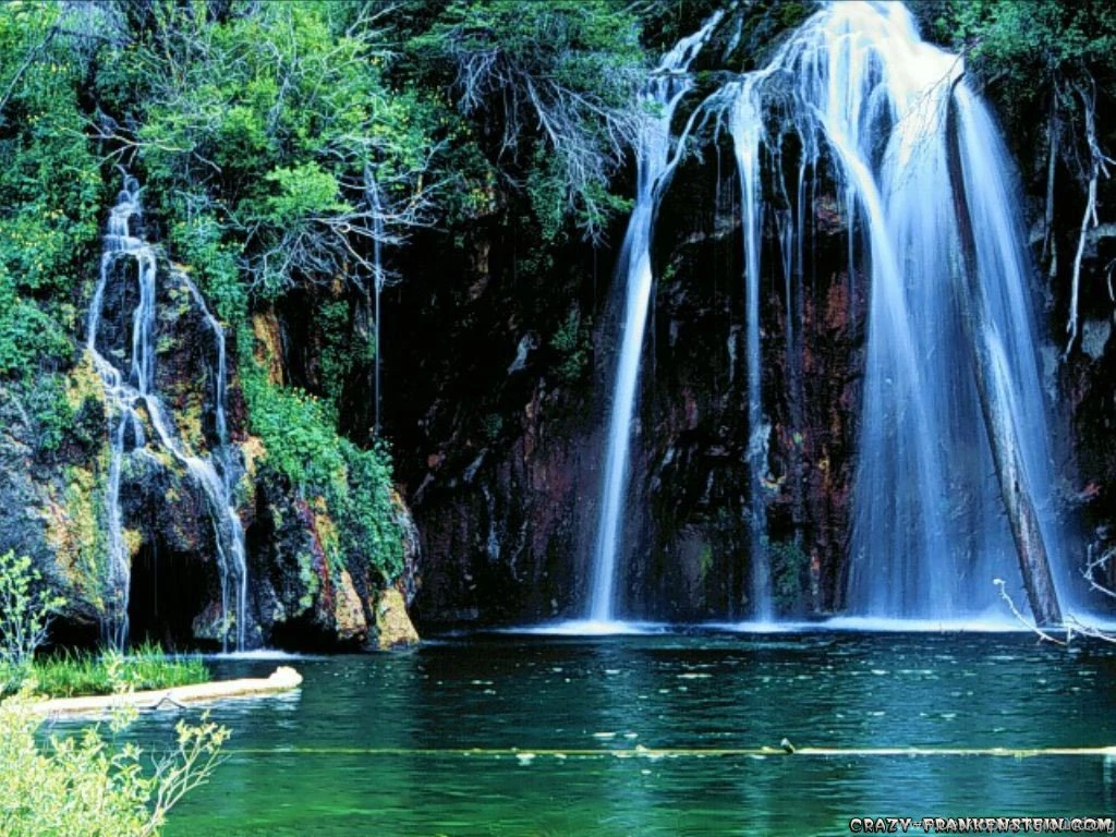 Gallery Of Nature Wallpapers
