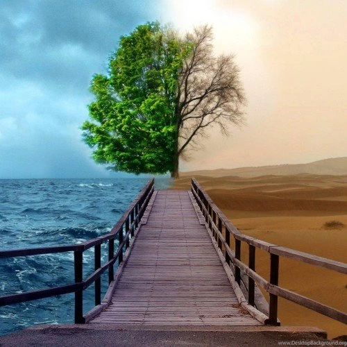 50 Gorgeous High Quality Apple iPad Wallpapers
