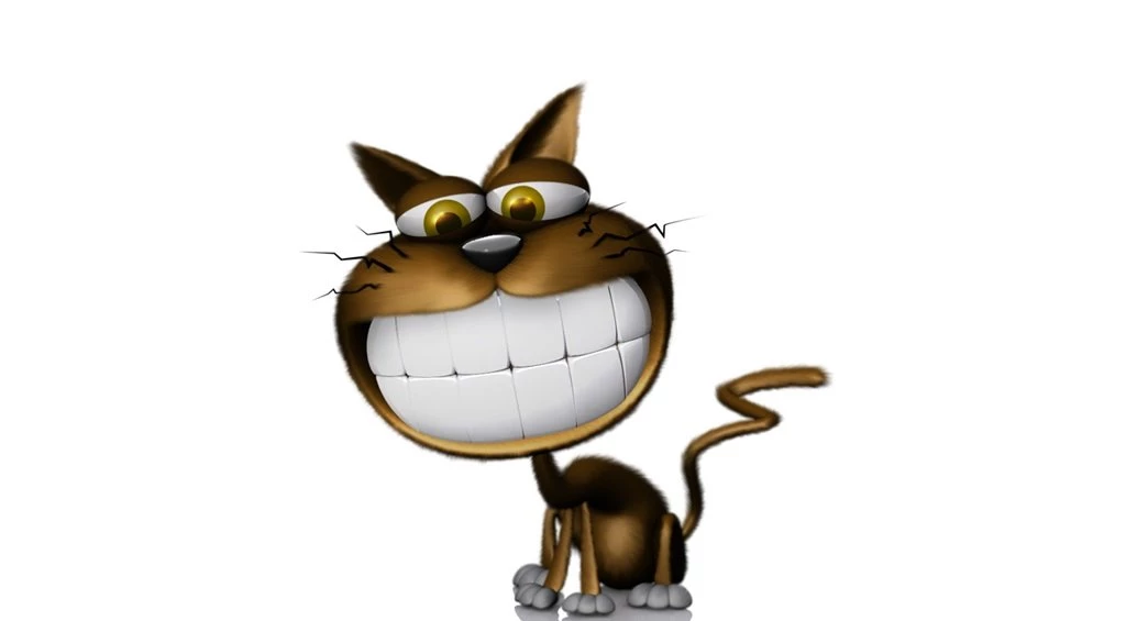 Funny Wallpapers