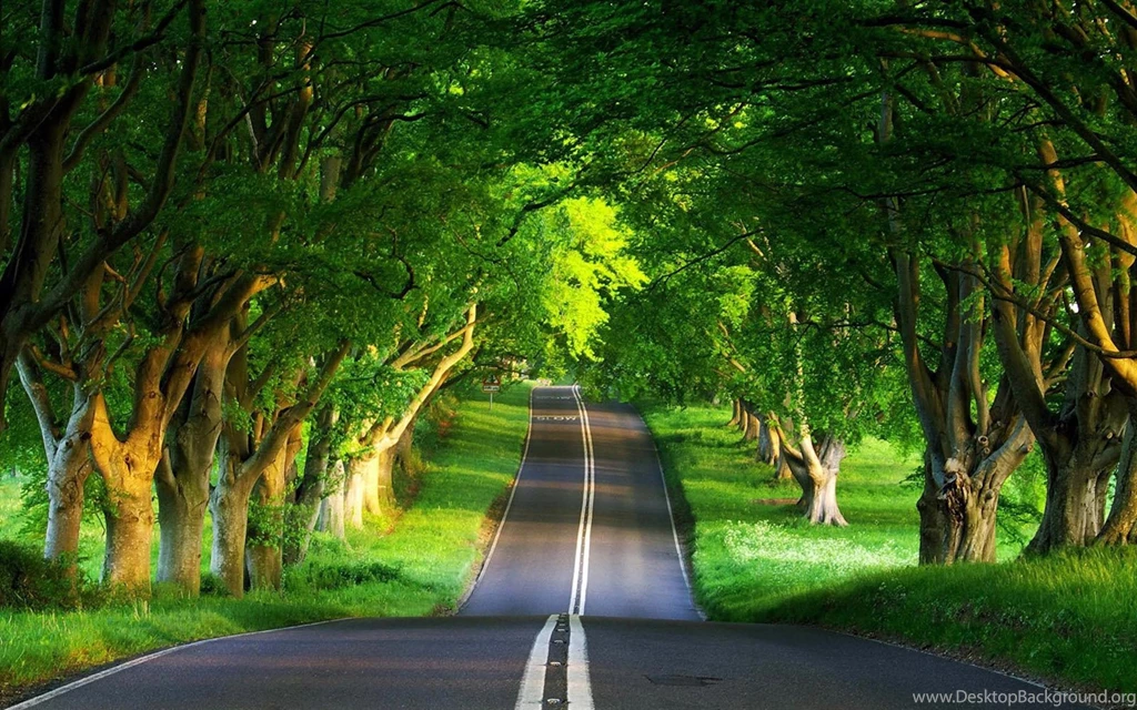 Beautiful Pictures Nature