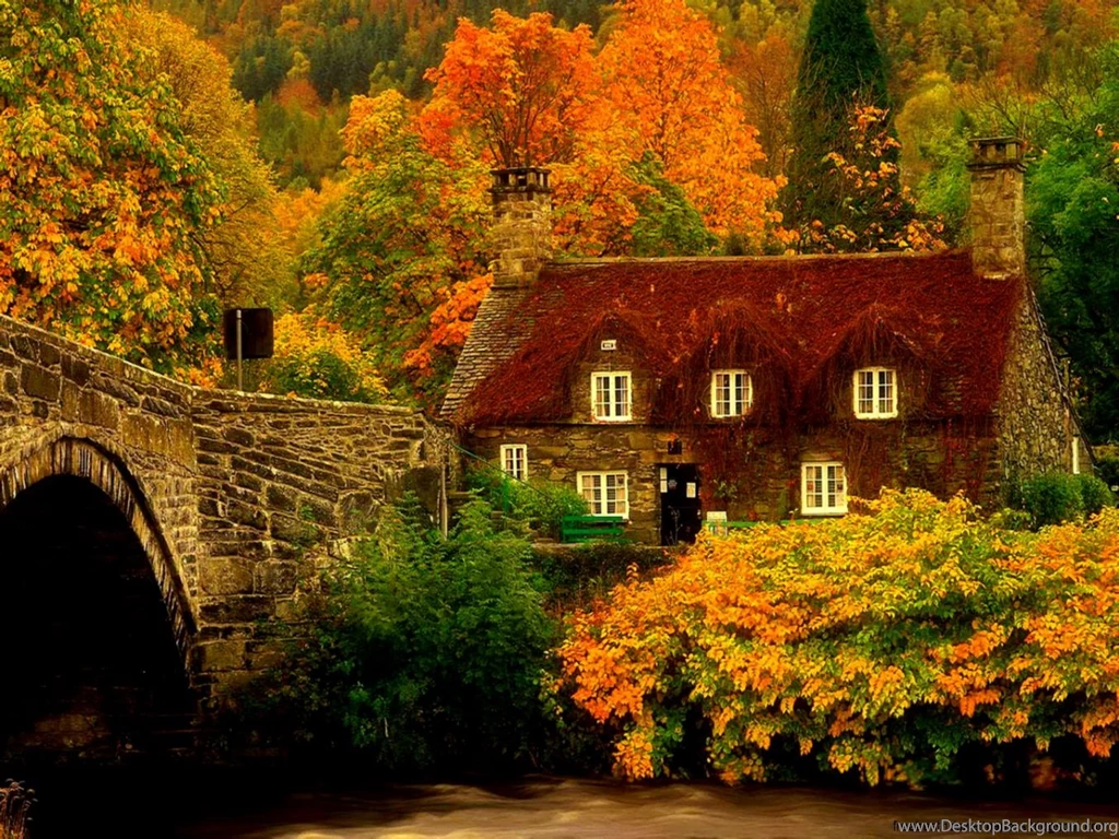 Pretty Nature Scene