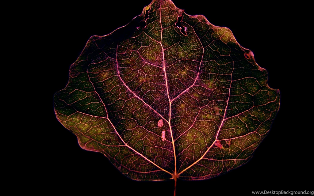 Artistic Desktop Wallpapers And Artwork