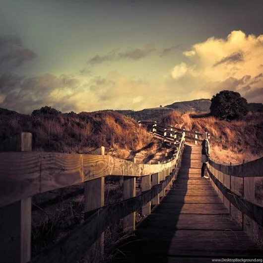 30+ Internet's Most Downloaded Natural Wallpapers