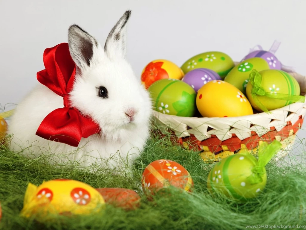 30+ Easter Bunny Wallpapers, Backgrounds, Images