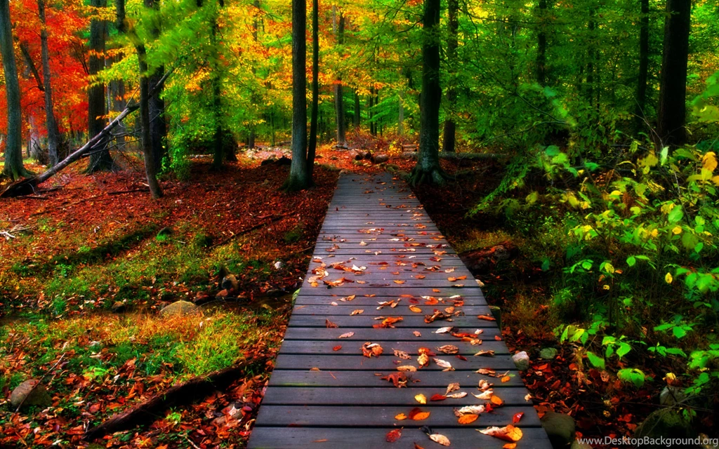 Free Autumn Wallpapers HD