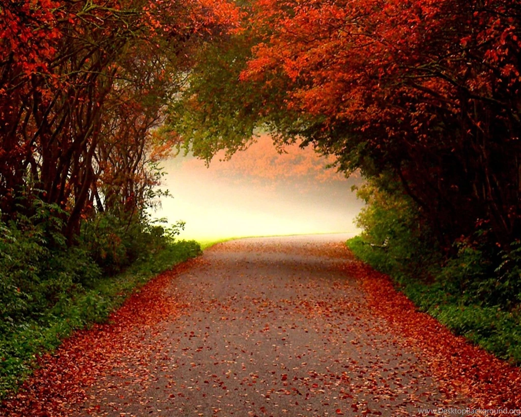 Free Fall Wallpapers Desktop Wallpapers Cave