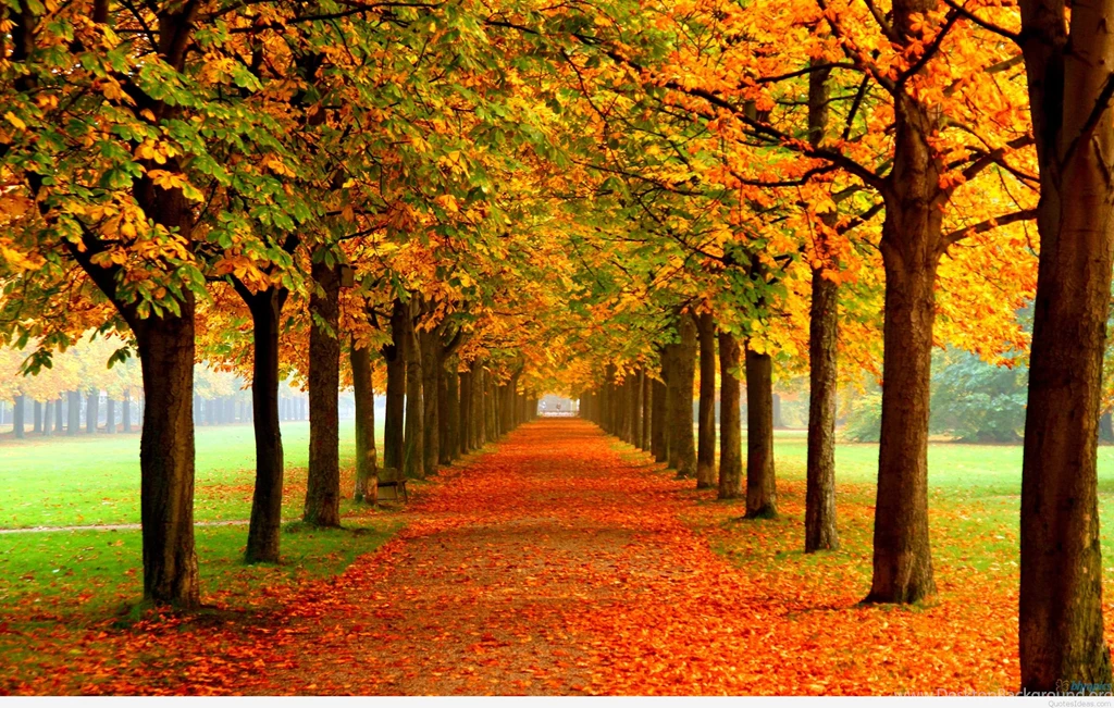 Autumn Tumblr Wallpapers Phone
