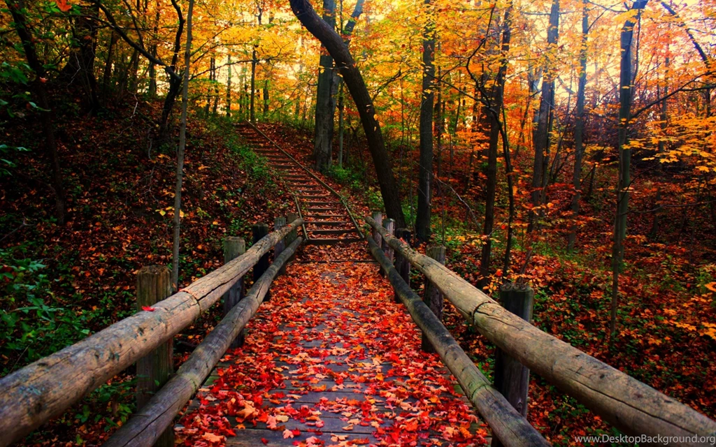 Free Fall Wallpapers — Crafthubs