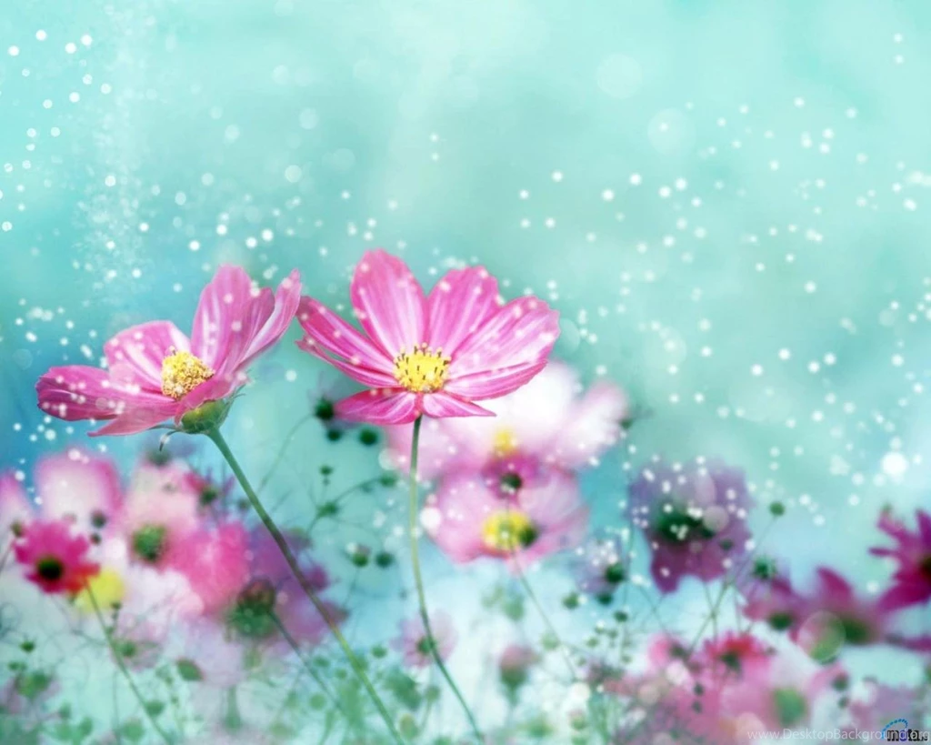 Download Wallpapers Spring Flowers (1280 X 1024). Desktop ...