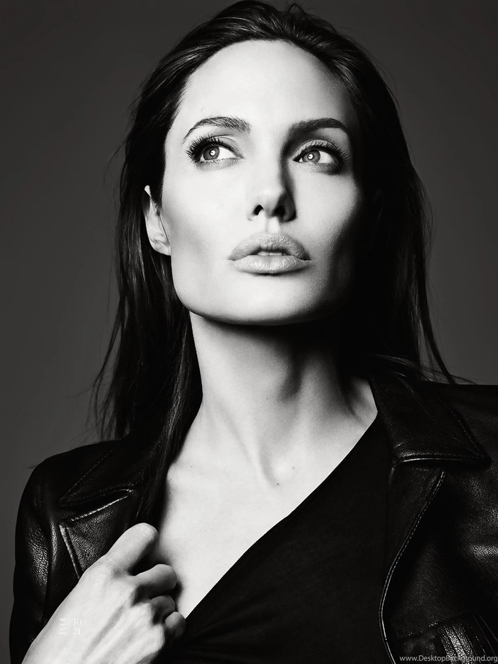 Angelina Jolie HD Wallpapers, Photos, Pictures And Images