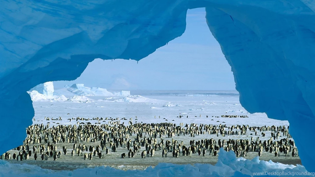 Map Of Antarctica Wallpapers