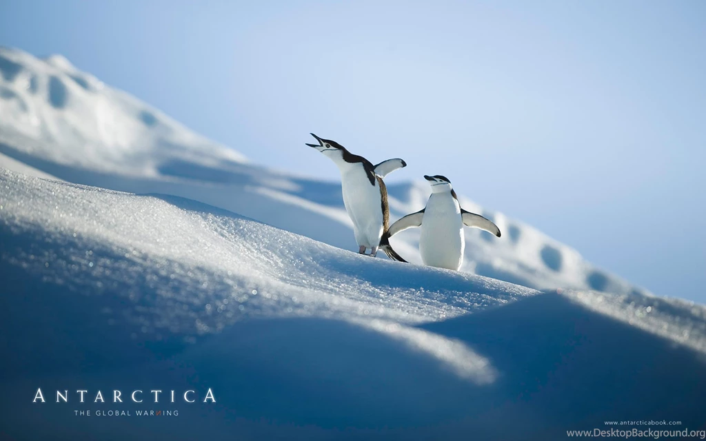 Antarctica The Global Warning