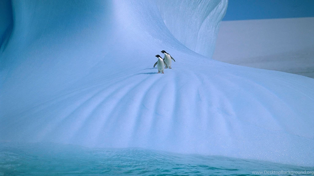 Free Antarctica Wallpapers   HD Wallpapers