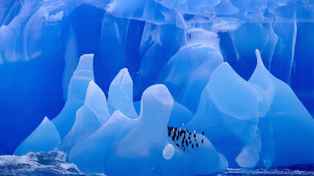 Antarctica Wallpapers 10219 Pacify Mind