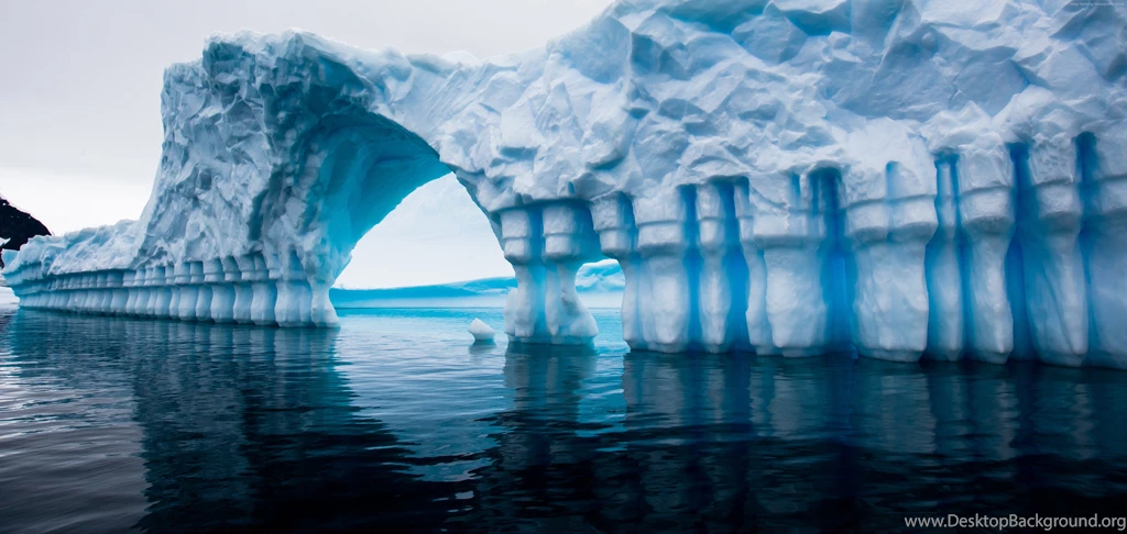 Antarctica Wallpaper, Animals / Wild: Antarctica, Penguin, Iceberg ...